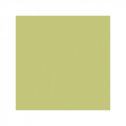 carreau-20-x-20-mela-vert-gres-cerame-i-colori-mat-cesi