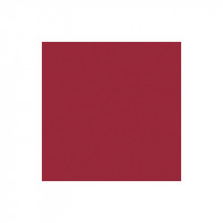 carreau-10x10-rubino-rouge-bordeaux-gres-cerame-i-colori-mat-cesi